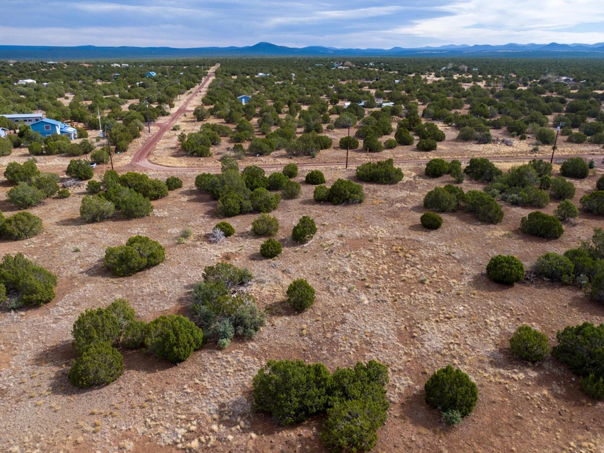 1280 Geronimo Dr, Show Low, AZ 85901 - photo 1