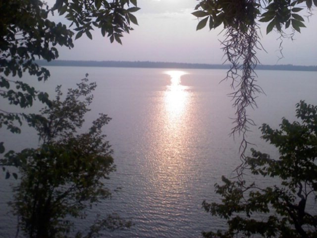 Main View