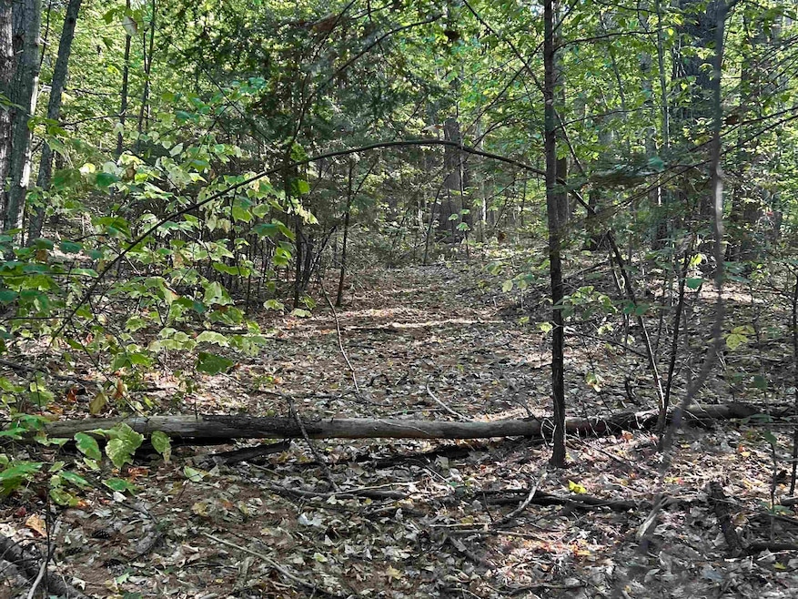 NH New Hampshire Route 175, Thornton, NH 03223 - photo 1