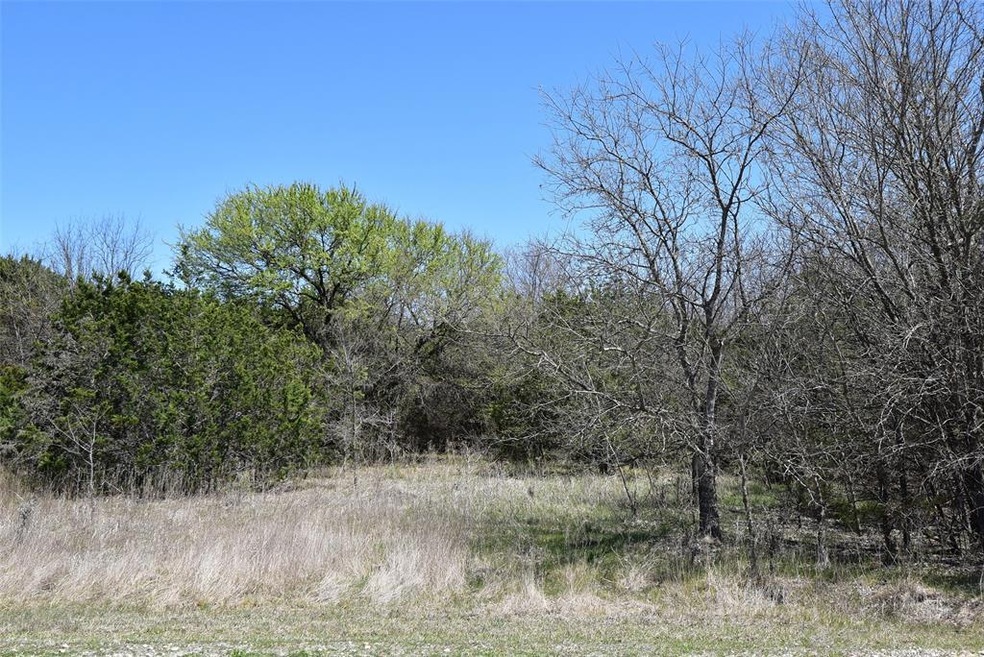 4115 Whitecrest Dr, Whitney, TX 76692 - photo 1