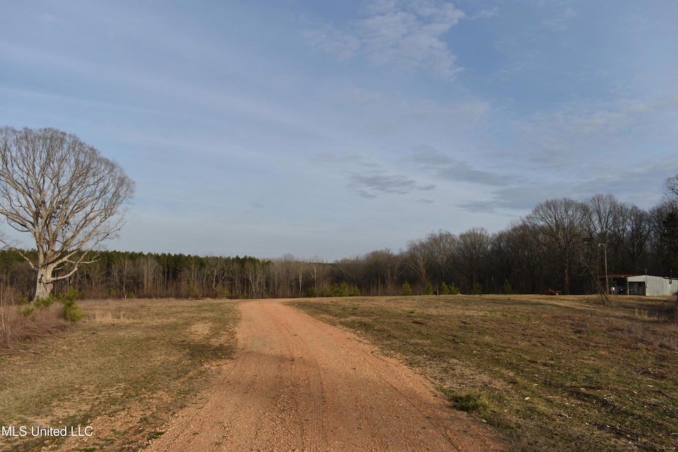 Driveway View