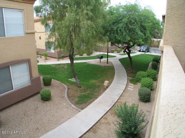 View from patio