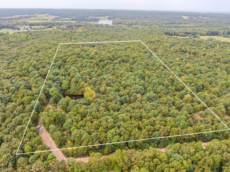 20 Acres Greene 737 Rd, Paragould, AR 72450 - photo 1