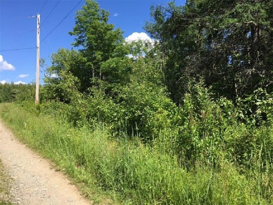 Maine Land for Sale in Alexander