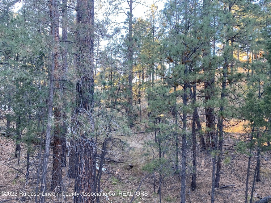 Twin Tree Rd