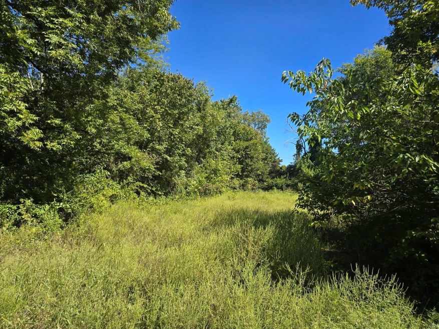 0 Princeton St, Collinsville, IL 62234 - photo 1