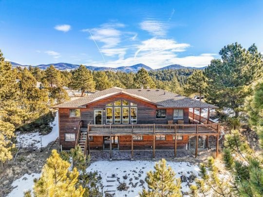 Log home in the pines