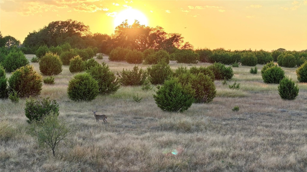 View of nature at dusk