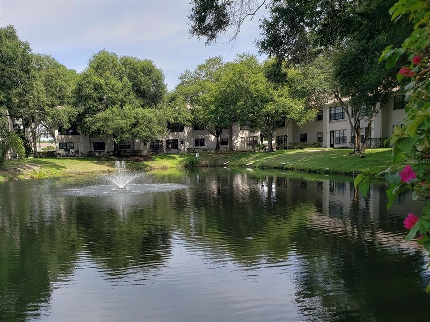 Backyard Pond View