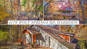 3179 Wolf Springs Rd, Harrison, AR 72601 - photo 1