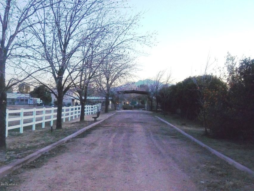 Tree Lined Driveway