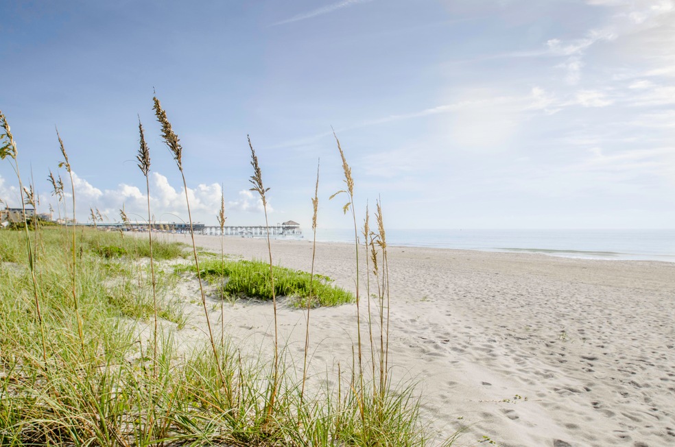 Beach -1