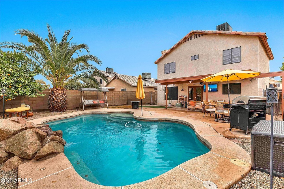 Backyard Oasis