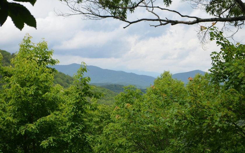 Main View