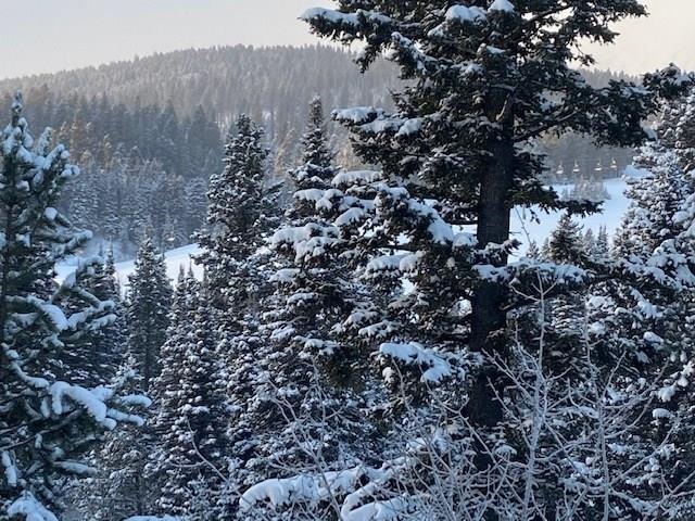 Lot 13 Wedeln Dr, Bozeman, MT 59715 - photo 1