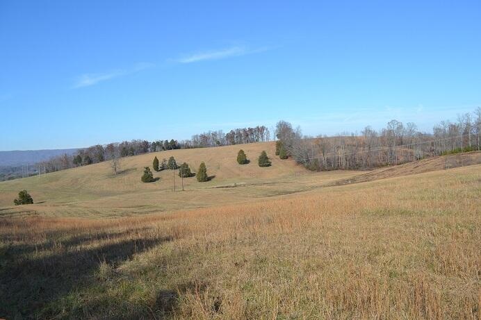 90+/-Acres Old Rhea Springs Rd, Spring City, TN 37381 - photo 1