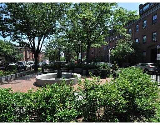 527 Massachusetts Ave, Boston, MA 02118 - photo 1