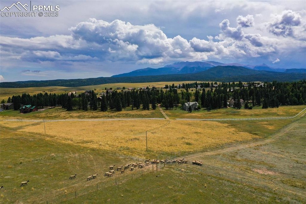 195 Joshua Rd, Divide, CO 80814 - photo 1