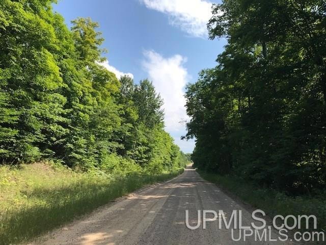 TBD Rock River Rd, Deerton, MI 49822 - photo 1