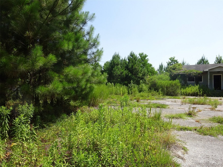 10881 Fostoria Rd, Cleveland, TX 77328 - photo 1