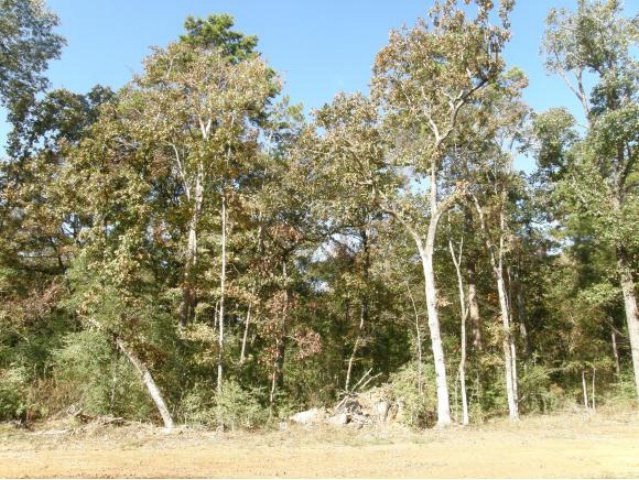 591 Cimarron Rd, Nacogdoches, TX 75964 - photo 1