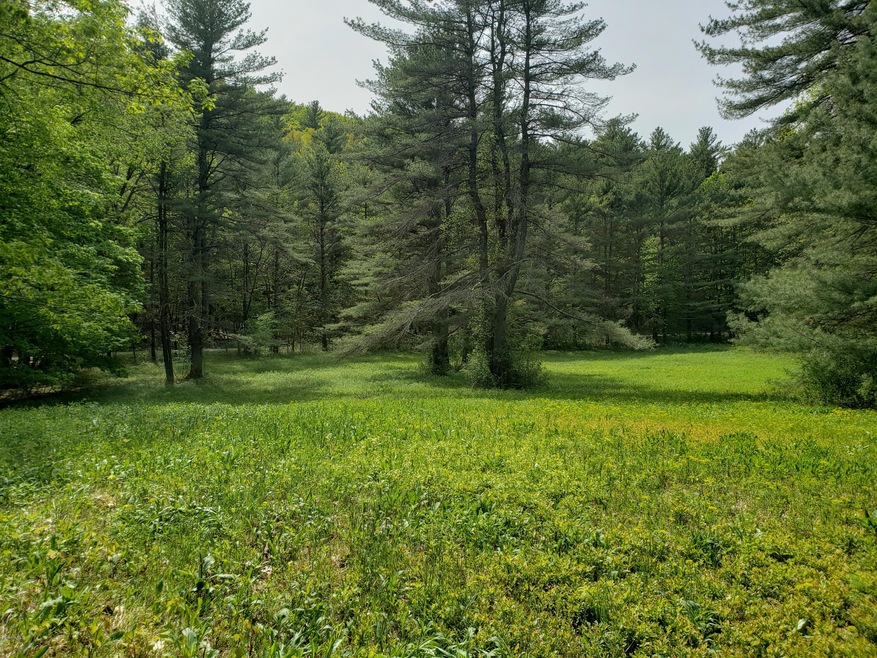 unlisted-address, South Egremont, MA 01258 - photo 1