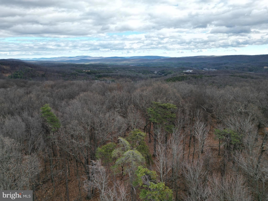 Lot 70 & 71 Mill Mountain Rd, Romney, WV 26757 - photo 1