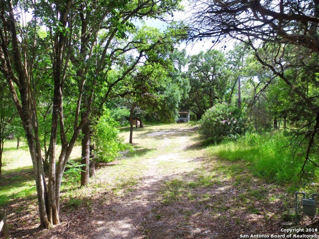 10118 Cedar Crest Dr, Helotes, TX 78023 - photo 1