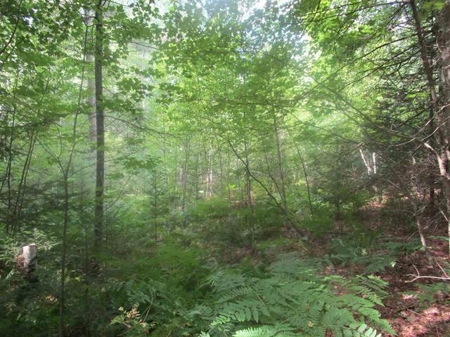 5 Willow Brook Rd, Thornton, NH 03285 - photo 1