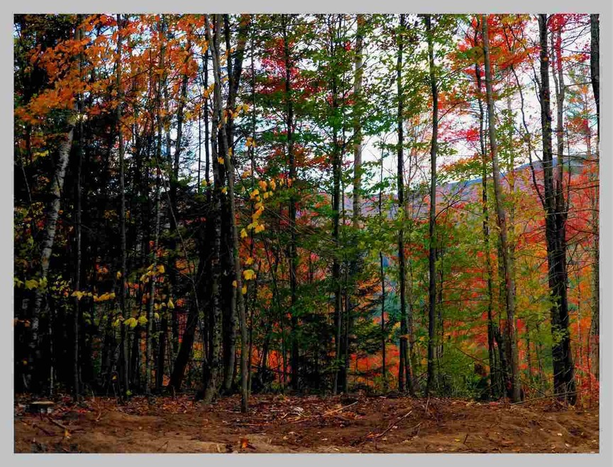 0 Route 175 unit 4666974, Thornton, NH 03285 - photo 1