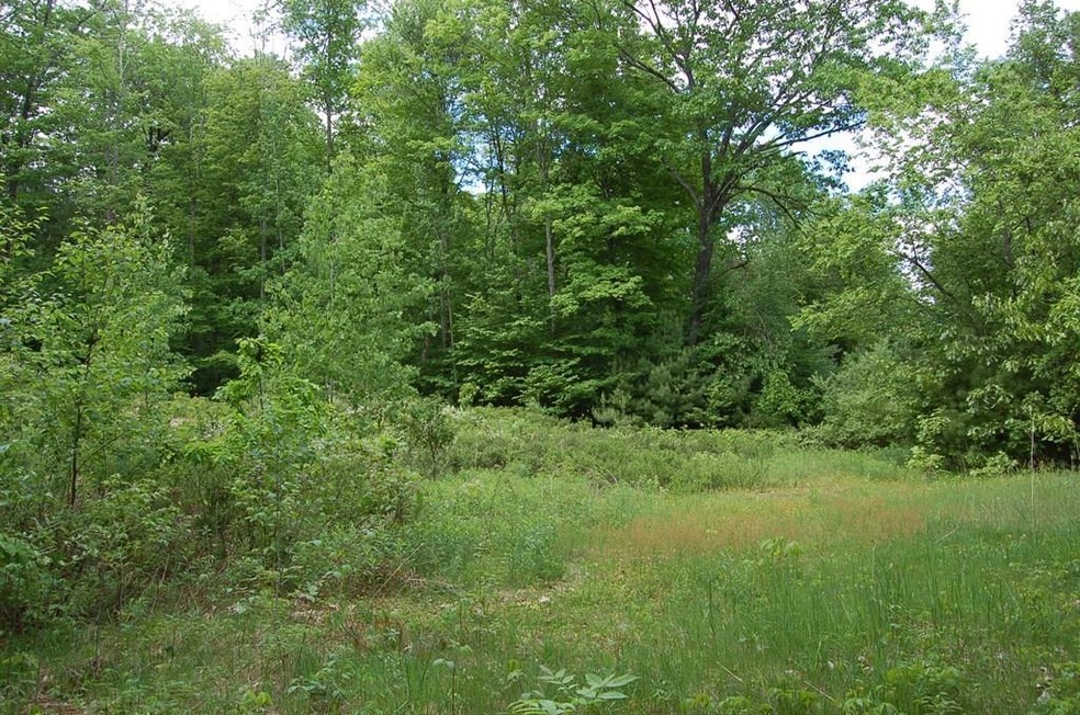 Lot 33 Nevins Rd, Hollis, NH 03054 - photo 1