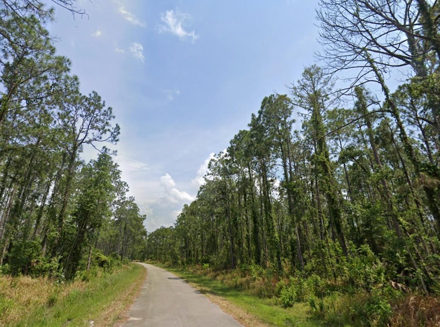 8926 Oviedo St, Sebring, FL 33872 - photo 1