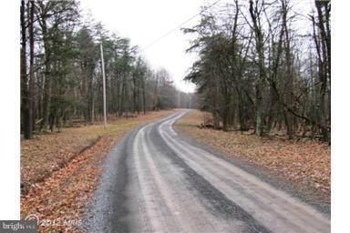 15 Edward Kidwell Rd Noland Rd, Slanesville, WV 25444 - photo 1