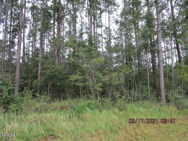 Nhn Stonecypher Rd, Lucedale, MS 39452 - photo 1