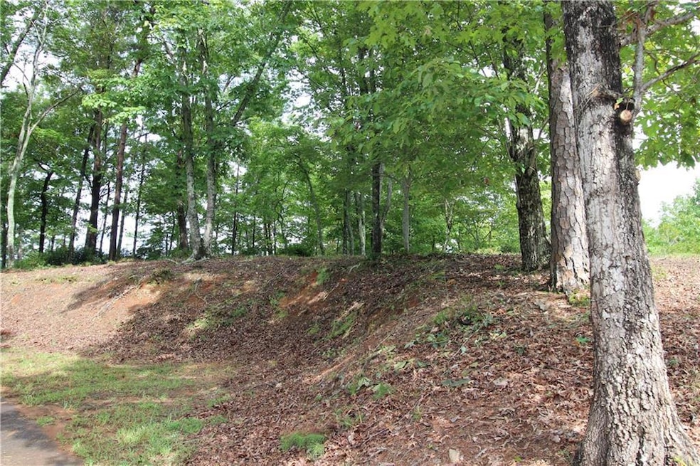 1034 Ainu Ct, Dahlonega, GA 30533 - photo 1