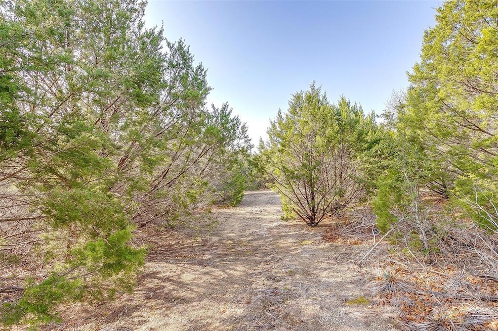 1090 Stagecoach Ranch Dr, Weatherford, TX 76085 - photo 1