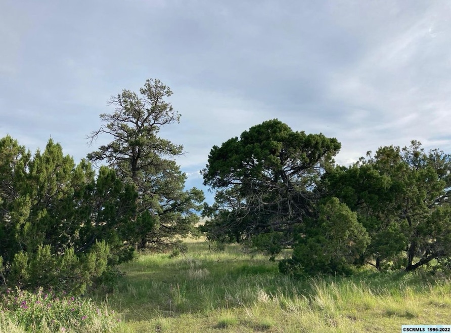 19 Coyote Trail unit 181, Datil, NM 87821 - photo 1