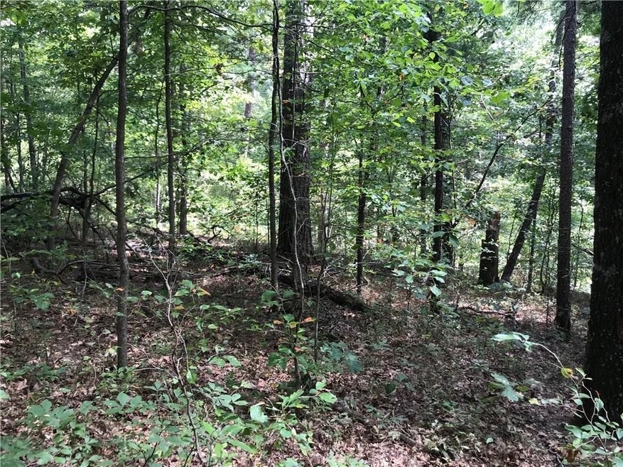 0 Burghley Ln unit 1126667, Bella Vista, AR 72714 - photo 1