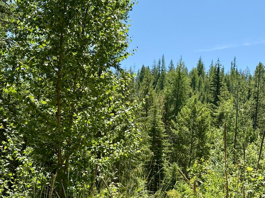 Timber