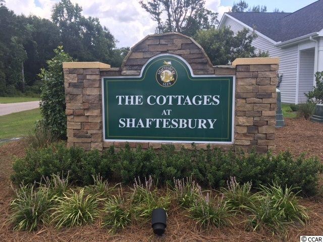 445 Shaft Place, Conway, SC 29526 - photo 1