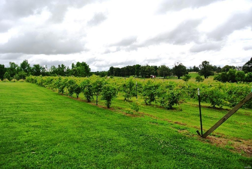 2392 Cr 480, Poplar Bluff, MO 63901 - photo 1