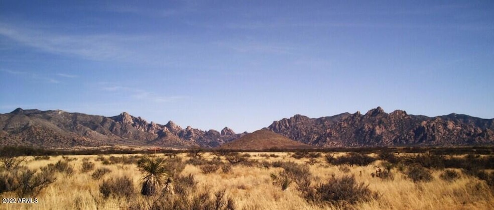 BEST WIDE MNT