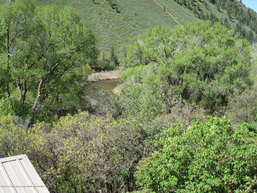 Frying Pan River View