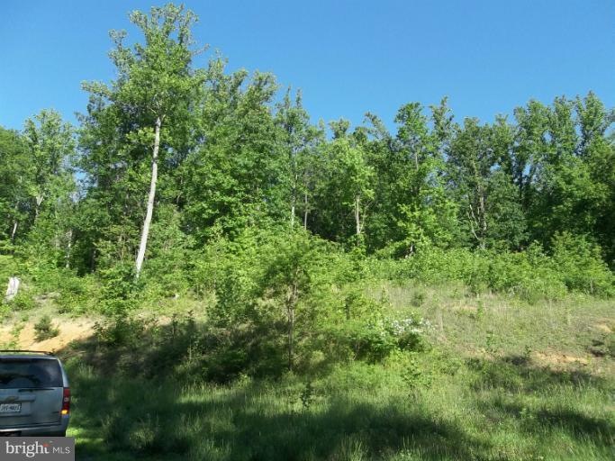 0 Buck Mountain Rd unit 1000074867, Bentonville, VA 22610 - photo 1