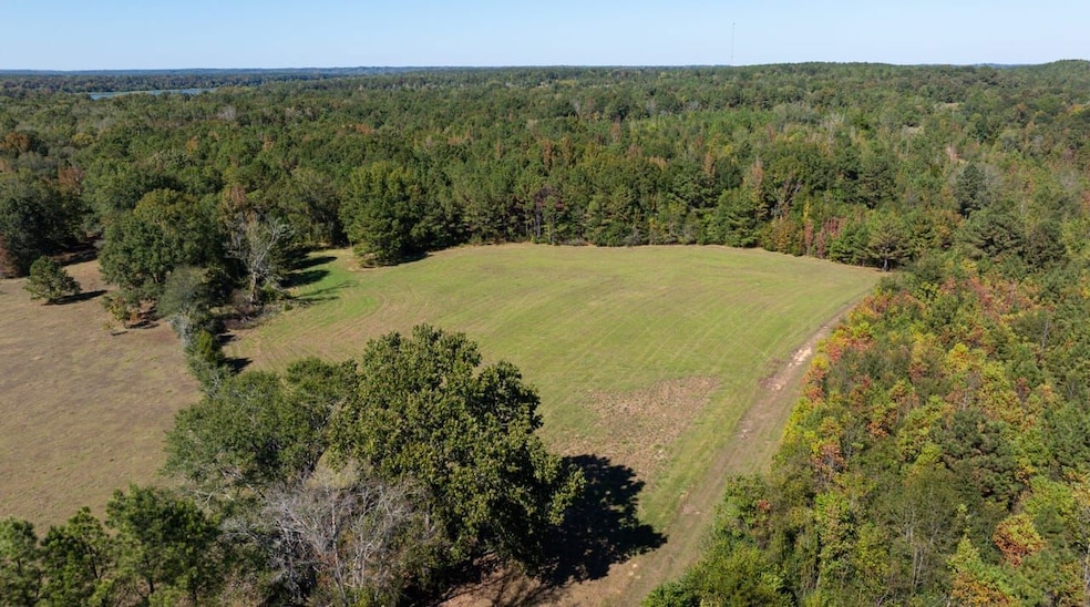 0 Mccloud Rd unit 21614202, Alberta, AL 36720 - photo 1