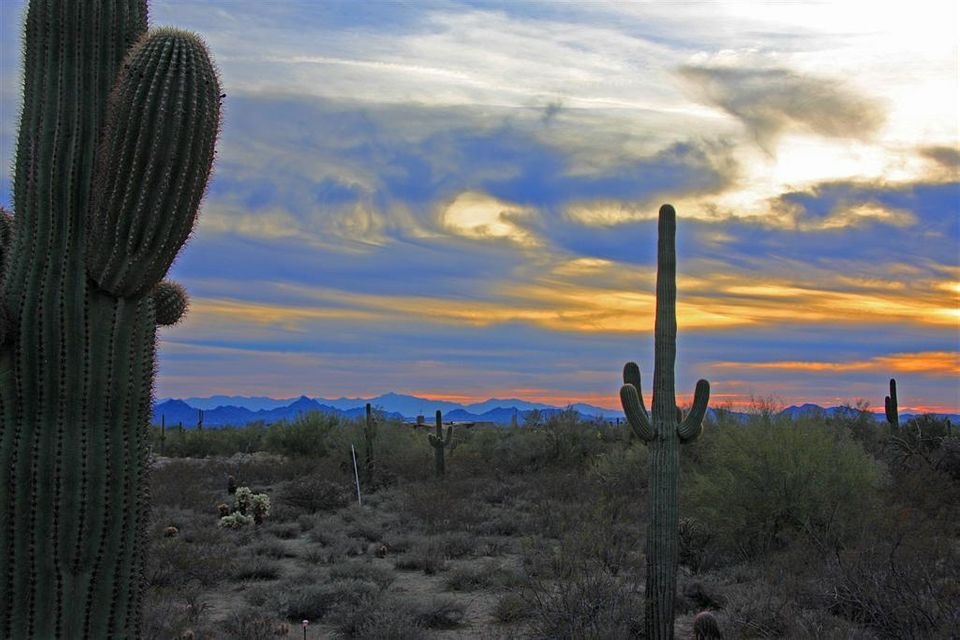 Pinnacle Peak Place