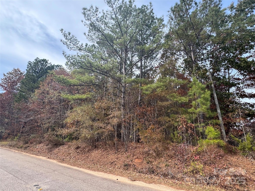 00 Russell Rd, Blackstock, SC 29014 - photo 1