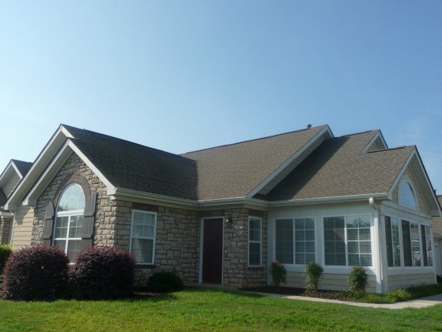 Main View
