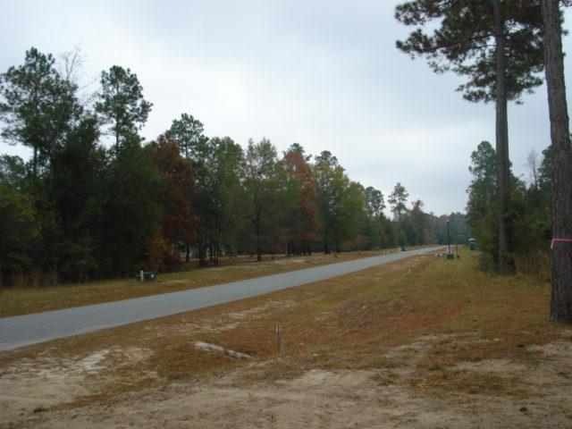 0 Cross Cut Trail unit 231466, Crawfordville, FL 32327 - photo 1
