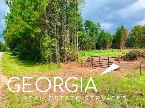 2913 Willis Rd, Barnesville, GA 30204 - photo 1